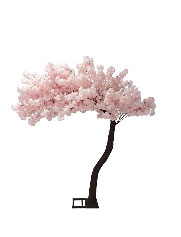 Pink Blossom Tree