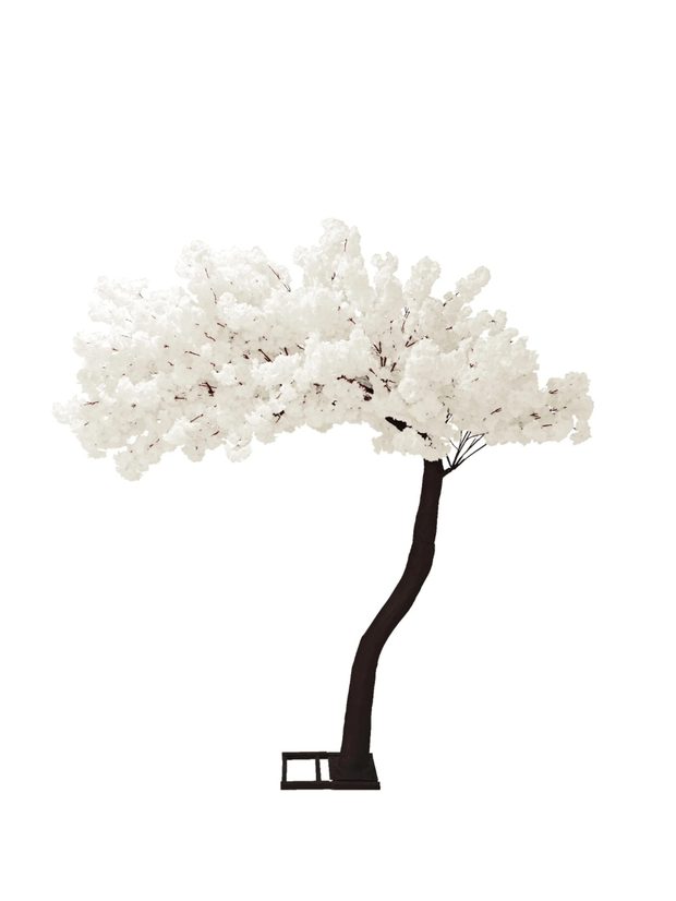 White Blossom Tree